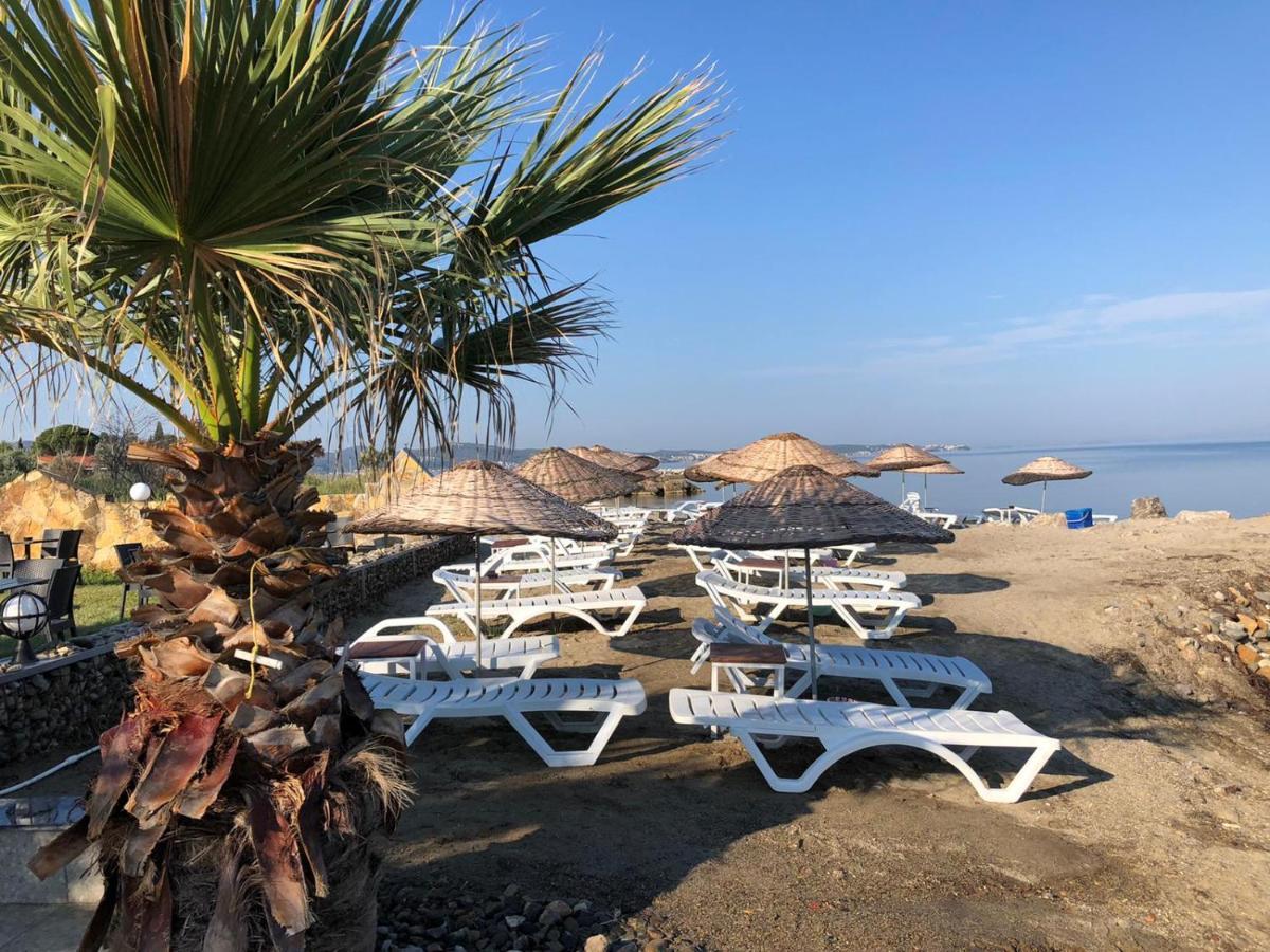 Afytos Oeren Park Mtk Ξενοδοχείο Εξωτερικό φωτογραφία
